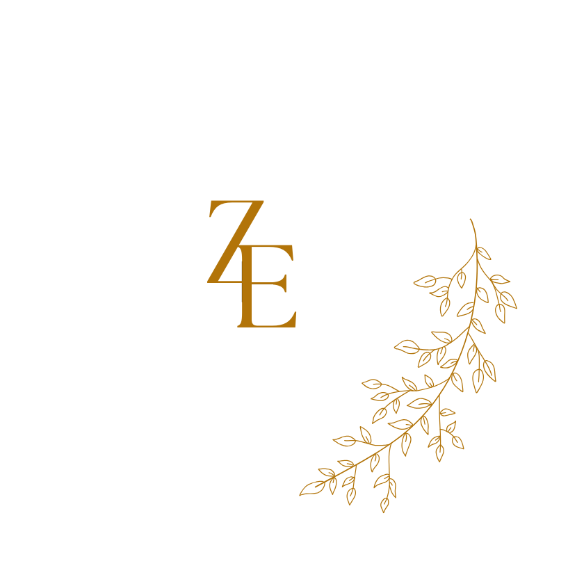 Dizenyo - Website Development Solutions